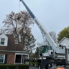 A & J Tree Service gallery