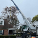 A & J Tree Service - Arborists