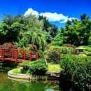 Hida Hibachi & Japanese Restaurant - Japanese Restaurants