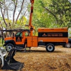 Checotah Tree Service gallery
