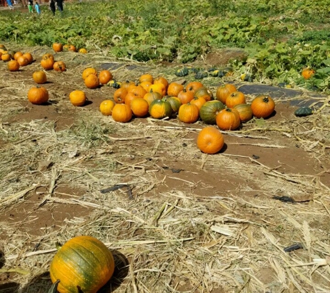 Aloun Farm, Inc. - Kapolei, HI