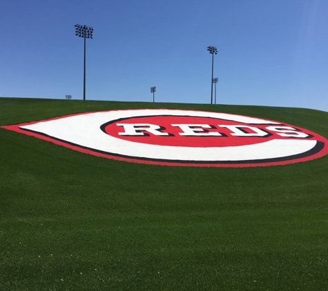 Cincinnati Reds - Goodyear, AZ