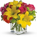 Buds Cut Flowers & More - Flowers, Plants & Trees-Silk, Dried, Etc.-Retail