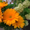 Eau Gallie Florist gallery