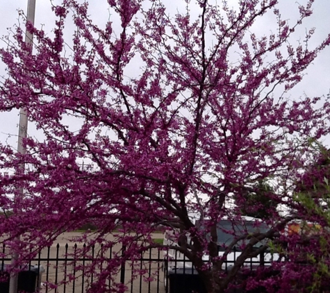 Mid-South Nursery & Greenhouses - Jonesboro, AR