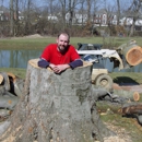 Whole Tree Care by Trapper's Tree Service (Columbus, Ohio) - Tree Service