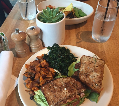 True Food Kitchen - Dallas, TX