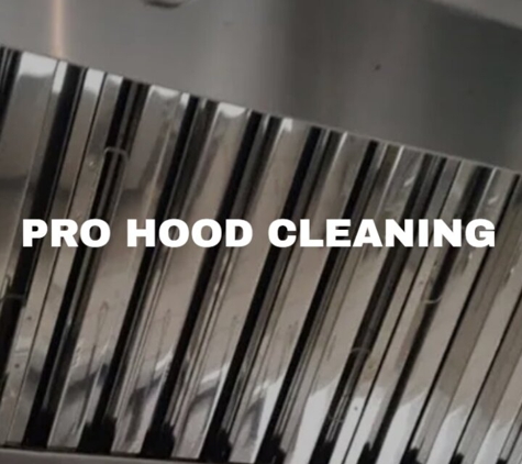 Pro Hood Cleaning - Brighton, MI