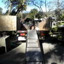 sony tree service