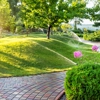 Incline Landscaping & Lawn Maintenance gallery
