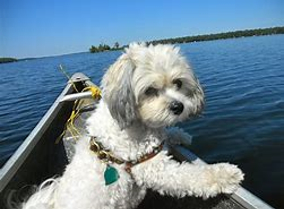 The Soapy Dog Inc - Huntington Station, NY. MY Buddy