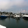 Taylor Point Marina gallery