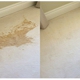 miracle carpet cleaning