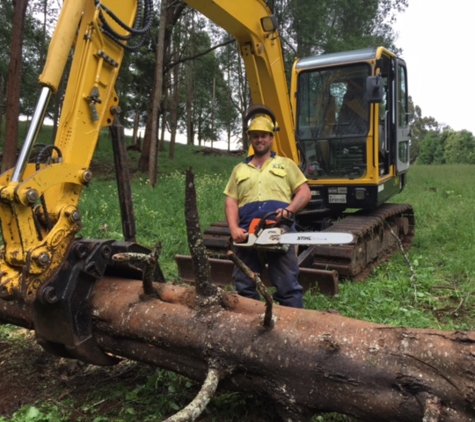 Dirt Works Plant Hire. Clearing Trees Fallen