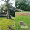 deep south tree service gallery