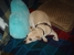 Carrie's Critters - Pet Grooming