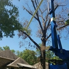 Mr. Green Jeans Tree Service