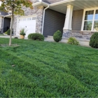 Simply Green Lawn & Tree Care