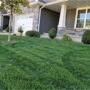 Simply Green Lawn & Tree Care