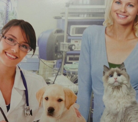 Amazon animal hospital & laser therapy center. - Clearwater, FL