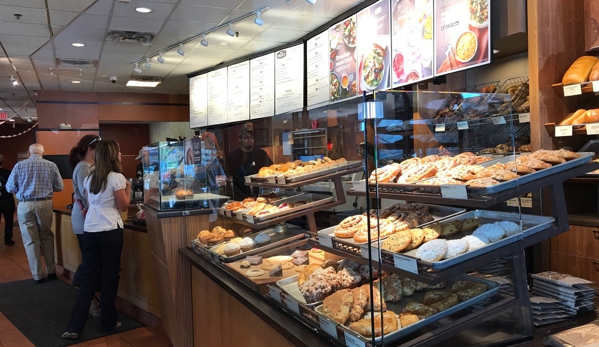 Panera Bread - Amherst, NY