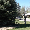 J & J Tree Care - Arborists