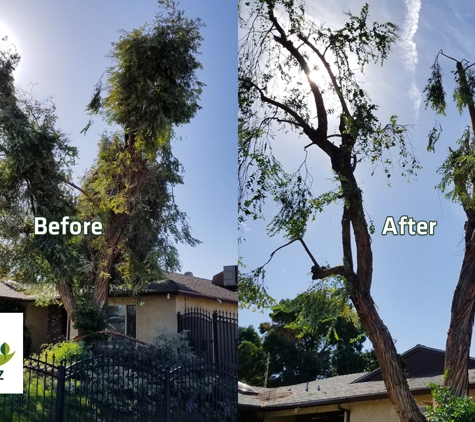 E and J Sanchez Tree Service - Fresno, CA. E and J Sanchez Tree Service - Prompt & Reliable Tree Services. Tree and palm trimming. Tree pruning, stump grinding, and other services.