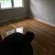 Main Line Floor Refinishing inc