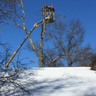 Hansons Tree Service & Landscaping LLC