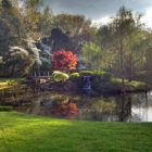 Carter's Nursery Pond & Patio