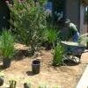 Charly Landscaping gallery