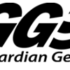 Storm Guardian Generators gallery
