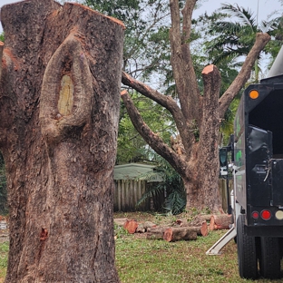 Full Tree Services - Davie, FL. Safety and Efficiency