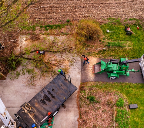 McQuillin Tree Care Specialists - Delta, OH. Power and Precision, mixed with the Skills and Determination