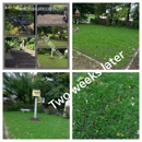 M. Rivera Landscaping and Lawn Care - Landscape Contractors