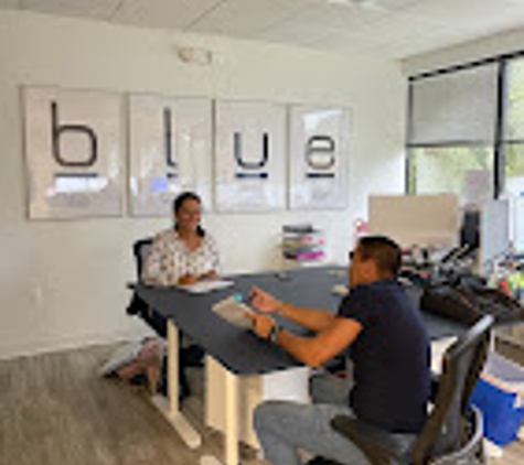 Blue Interactive Agency - Fort Lauderdale, FL