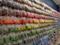 Blueberry Beads - Art Supplies