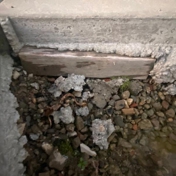 Gallery Image Number 3