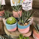 Rooted Treasures Succulents - Wholesale Plants & Flowers