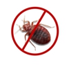 FL Bed Bug Experts gallery