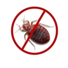 FL Bed Bug Experts