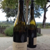 Copain Wines gallery