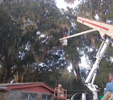 Timberfalls Tree Service - Pomona Park, FL