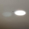 Insight Pest Solutions gallery