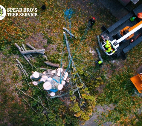 Spear Bro’s Tree Service - Bristol, CT