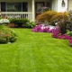 Segura Landscaping & Sod