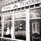 Posh Peacock - CLOSED