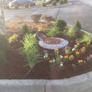 Romero landscaping & lawn care - Landscaping & Lawn Services