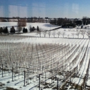 Grandview Vineyard - Wineries