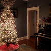 Bay Village Piano Lessons gallery